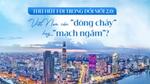 Có lẽ, điều Việt Nam cần hiện nay ở dòng vốn FDI là những mạch nguồn đầu tư có khả năng thấm sâu vào nền kinh tế