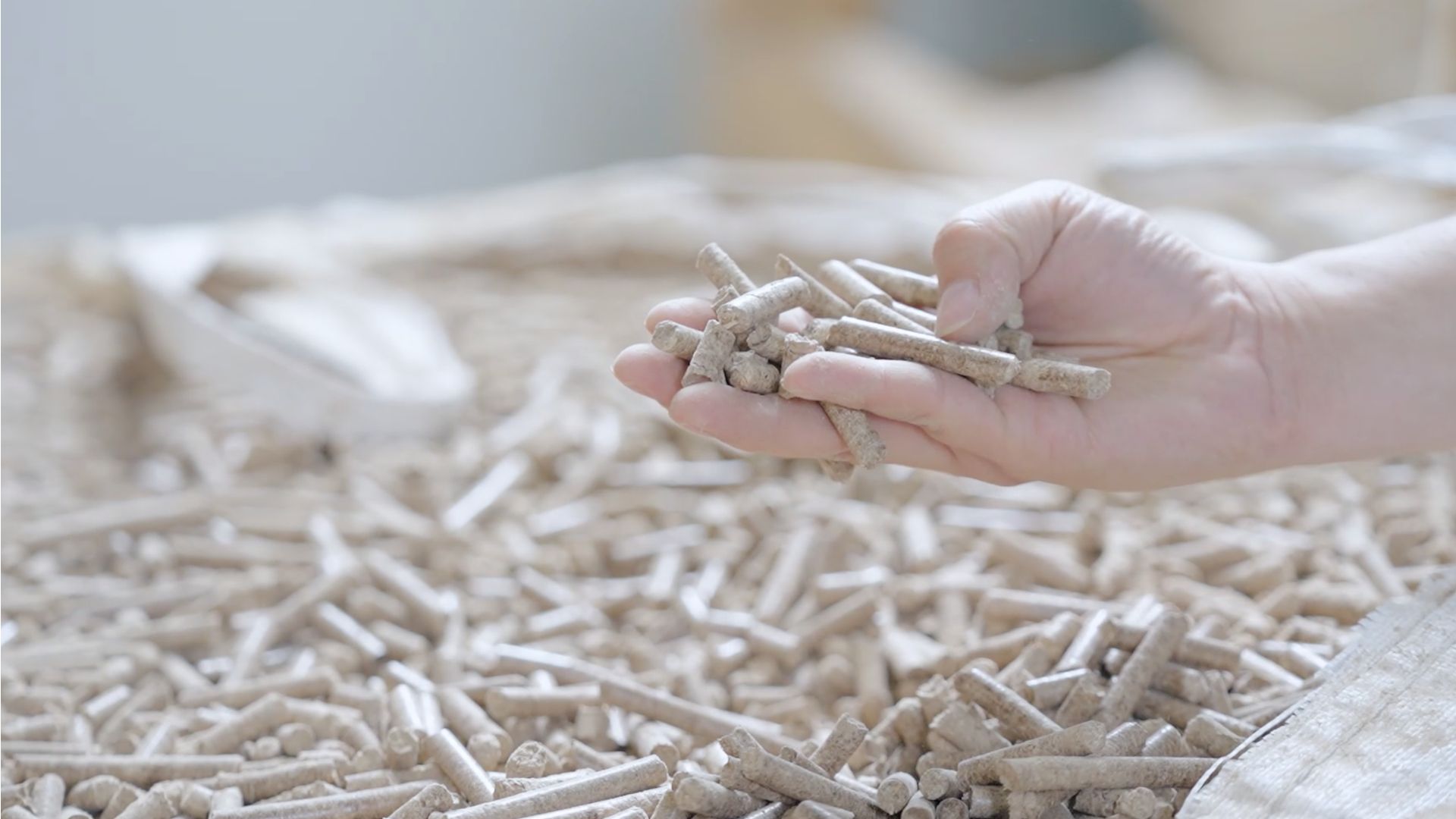  Unilever sử dụng biomass thay cho nhiên liệu hóa thạch