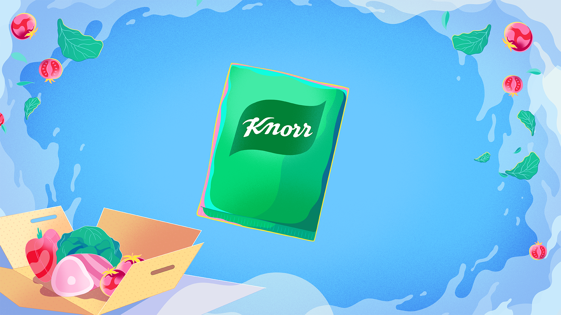 Knorr product illustration